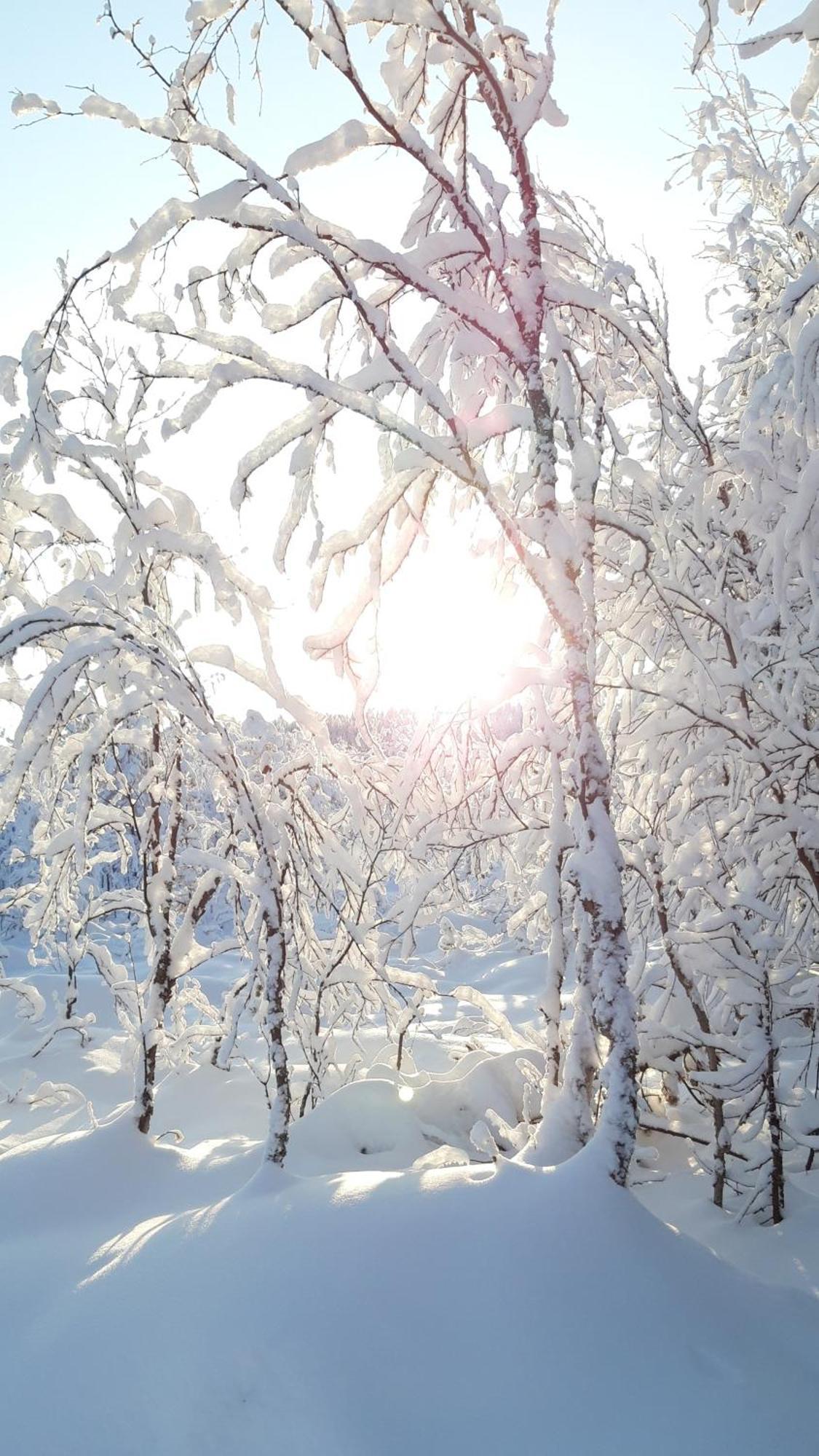 Majatalo Jurtta Hotel Rautuskyla ภายนอก รูปภาพ